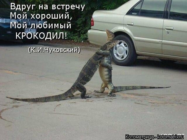 Вдруг на встречу Мой хороший, Мой любимый КРОКОДИЛ! (К.И.Чуковский)... Котоматрица: Вдруг на встречу Мой хороший, Мой любимый КРОКОДИЛ! (К.И.Чуковский)