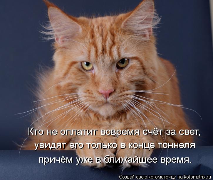 Кто не оплатит вовремя счёт за свет, увидят его только в конце тоннеля причём уже в ближайшее время.... Котоматрица: Кто не оплатит вовремя счёт за свет, увидят его только в конце тоннеля причём уже в ближайшее время.