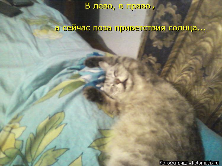 В лево, в право а сейчас поза приветствия солнца... , ,... Котоматрица: В лево, в право а сейчас поза приветствия солнца... , ,