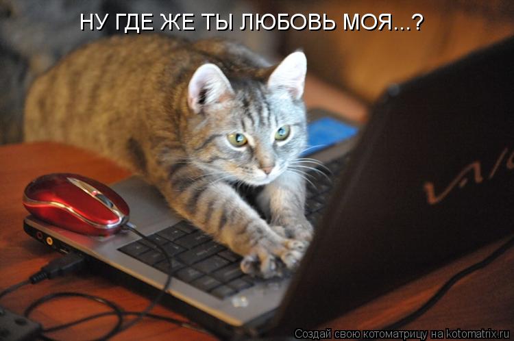 НУ ГДЕ ЖЕ ТЫ ЛЮБОВЬ МОЯ...?... Котоматрица: НУ ГДЕ ЖЕ ТЫ ЛЮБОВЬ МОЯ...?