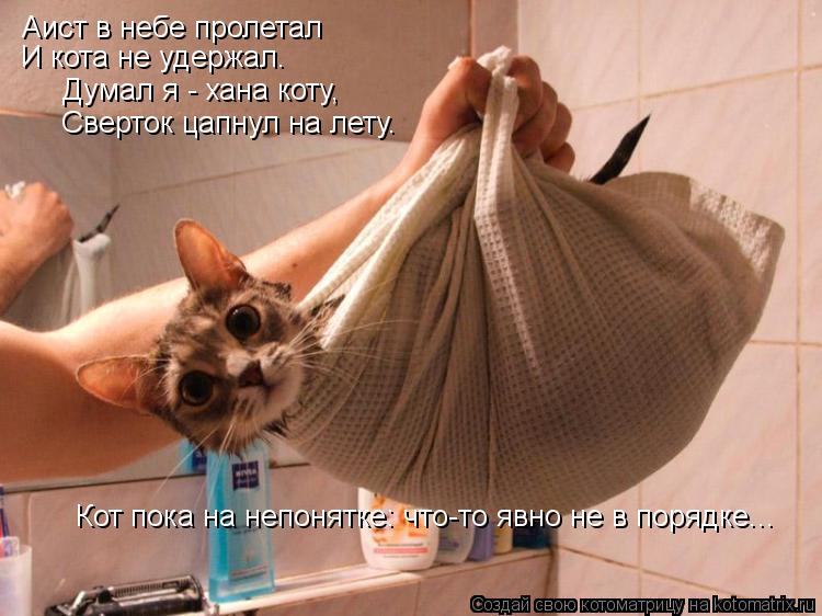 Аист в небе пролетал И кота не удержал. Думал я - хана коту, Сверток цапнул на лету. Кот пока на непо... Котоматрица: Аист в небе пролетал И кота не удержал. Думал я - хана коту, Сверток цапнул на лету. Кот пока на непонятке: что-то явно не в порядке...