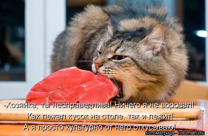 Как лежал кусок на столе, так и лежит! -Хозяйка, ты несправедлива! Ничего я не воровал! А я просто ку... Котоматрица: Как лежал кусок на столе, так и лежит! -Хозяйка, ты несправедлива! Ничего я не воровал! А я просто культурно от него откусываю!