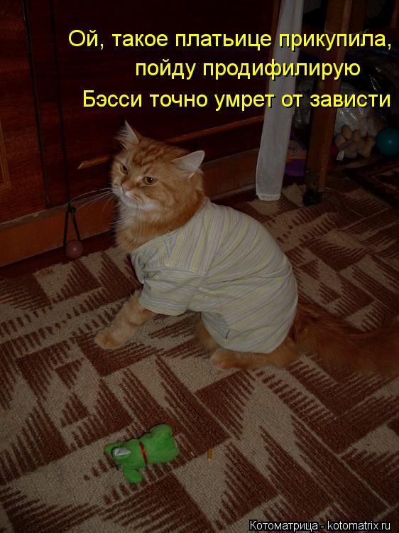 Ой, такое платьице прикупила, пойду продифилирую Бэсси точно умрет от зависти... Котоматрица: Ой, такое платьице прикупила, пойду продифилирую Бэсси точно умрет от зависти