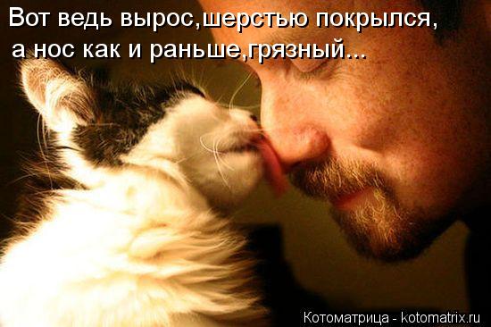 Вот ведь вырос,шерстью покрылся, а нос как и раньше,грязный...... Котоматрица: Вот ведь вырос,шерстью покрылся, а нос как и раньше,грязный...