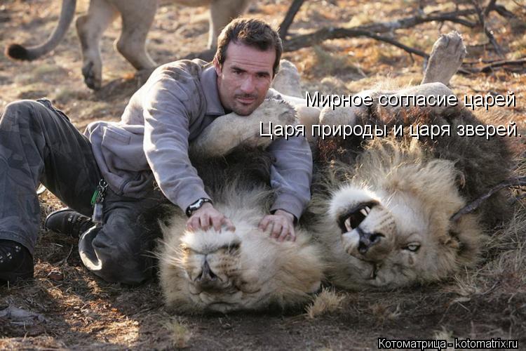 Мирное согласие царей Царя природы и царя зверей.... Котоматрица: Мирное согласие царей Царя природы и царя зверей.