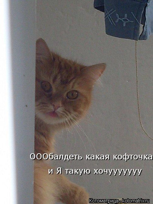 ОООбалдеть какая кофточка и Я такую хочууууууу... Котоматрица: ОООбалдеть какая кофточка и Я такую хочууууууу