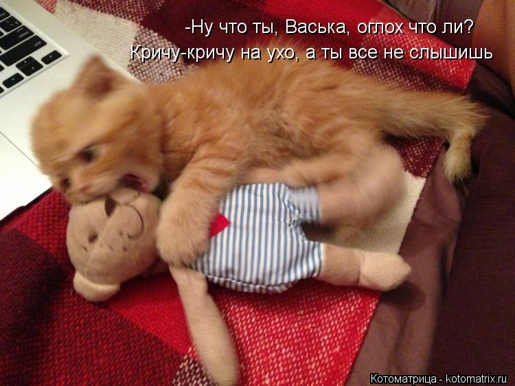 -Ну что ты, Васька, оглох что ли? Кричу-кричу на ухо, а ты все не слышишь... Котоматрица: -Ну что ты, Васька, оглох что ли? Кричу-кричу на ухо, а ты все не слышишь