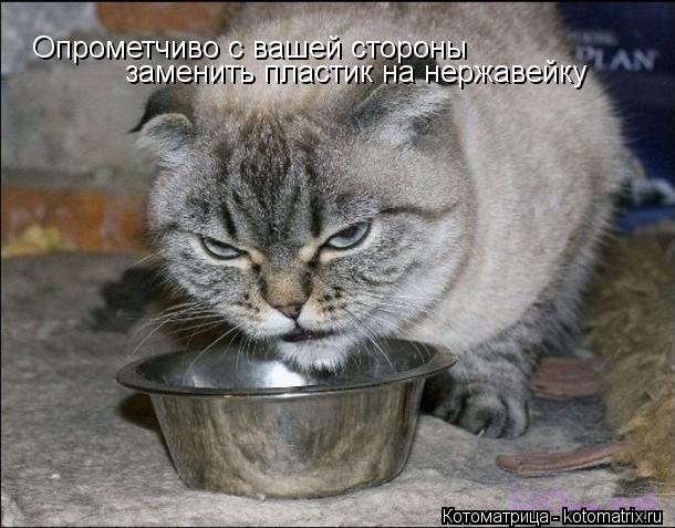 Опрометчиво с вашей стороны заменить пластик на нержавейку... Котоматрица: Опрометчиво с вашей стороны заменить пластик на нержавейку