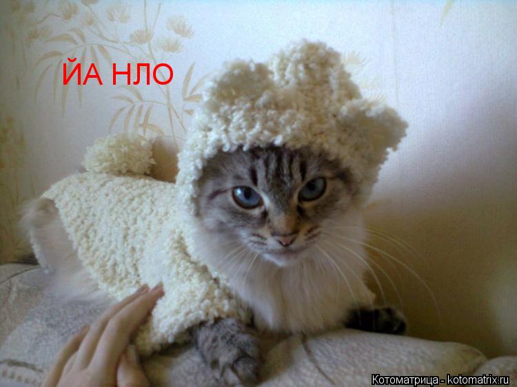 ЙА НЛО... Котоматрица: ЙА НЛО