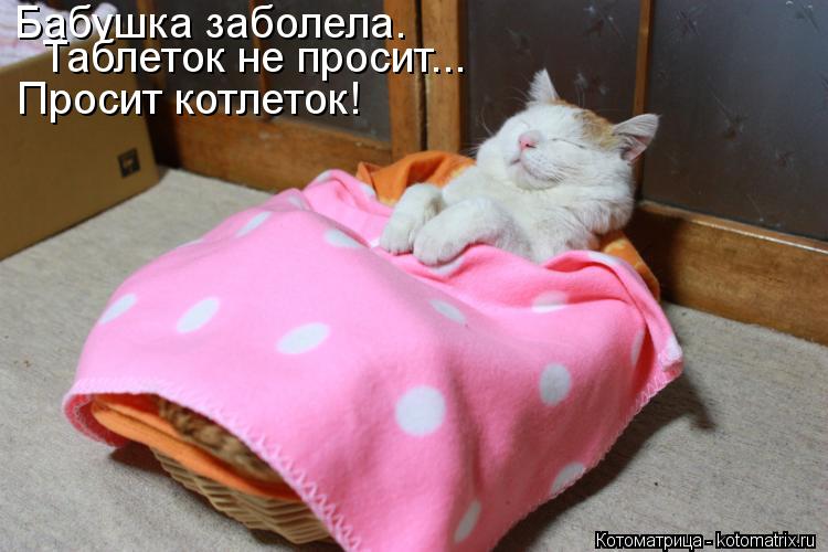 Котоматрица: Бабушка заболела. Таблеток не просит... Просит котлеток!