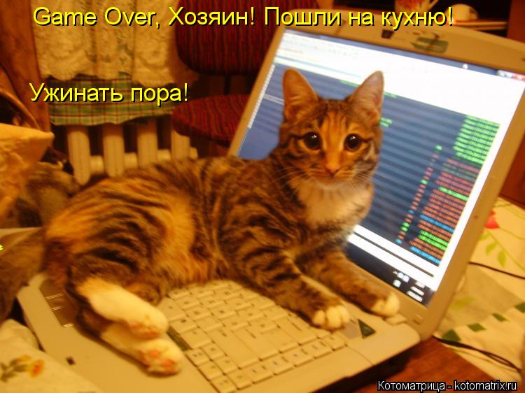 Game Over, Хозяин! Пошли на кухню! Ужинать пора!... Котоматрица: Game Over, Хозяин! Пошли на кухню! Ужинать пора!