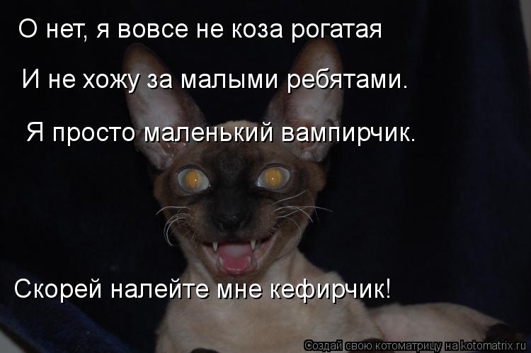 О нет, я вовсе не коза рогатая И не хожу за малыми ребятами. Я просто маленький вампирчик. Скорей на... Котоматрица: О нет, я вовсе не коза рогатая И не хожу за малыми ребятами. Я просто маленький вампирчик. Скорей налейте мне кефирчик!