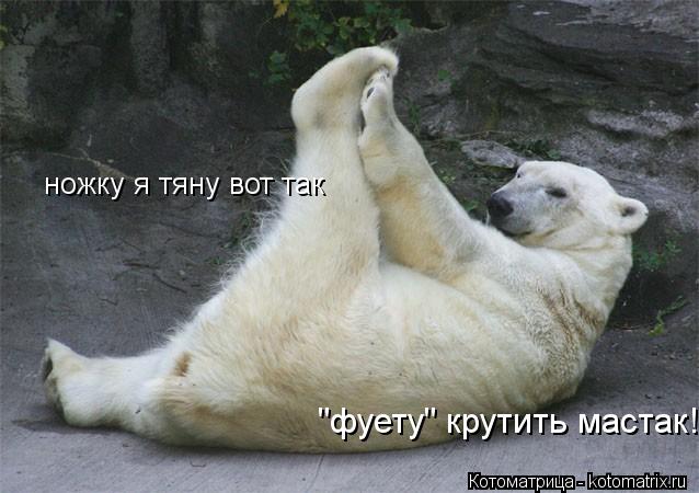 ножку я тяну вот так "фуету" крутить мастак!... Котоматрица: ножку я тяну вот так "фуету" крутить мастак!