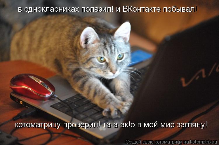 в однокласниках полазил! и ВКонтакте побывал! котоматрицу проверил! та-а-ак!о в мой мир загляну!... Котоматрица: в однокласниках полазил! и ВКонтакте побывал! котоматрицу проверил! та-а-ак!о в мой мир загляну!