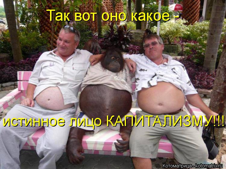 Так вот оно какое - истинное лицо КАПИТАЛИЗМУ!!!!... Котоматрица: Так вот оно какое - истинное лицо КАПИТАЛИЗМУ!!!!