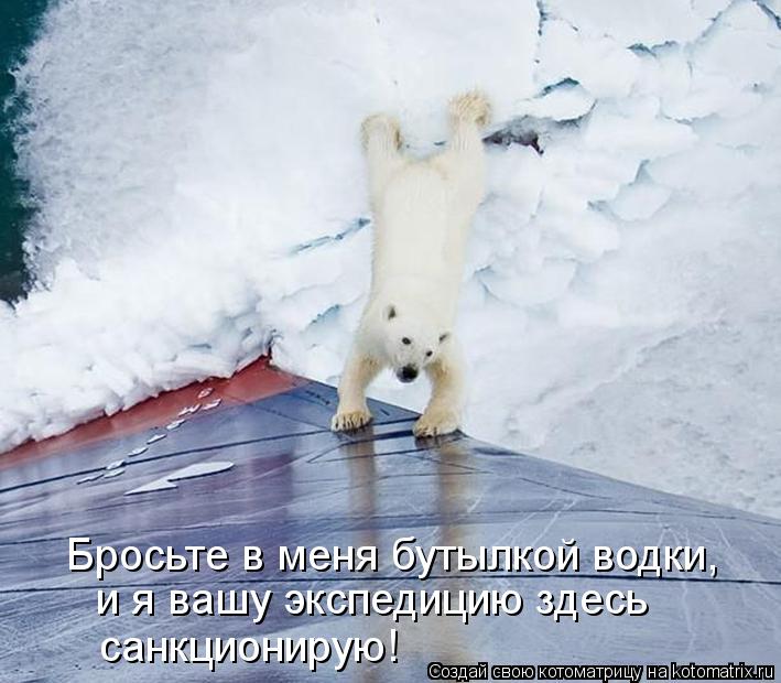 Бросьте в меня бутылкой водки, и я вашу экспедицию здесь санкционирую!... Котоматрица: Бросьте в меня бутылкой водки, и я вашу экспедицию здесь санкционирую!