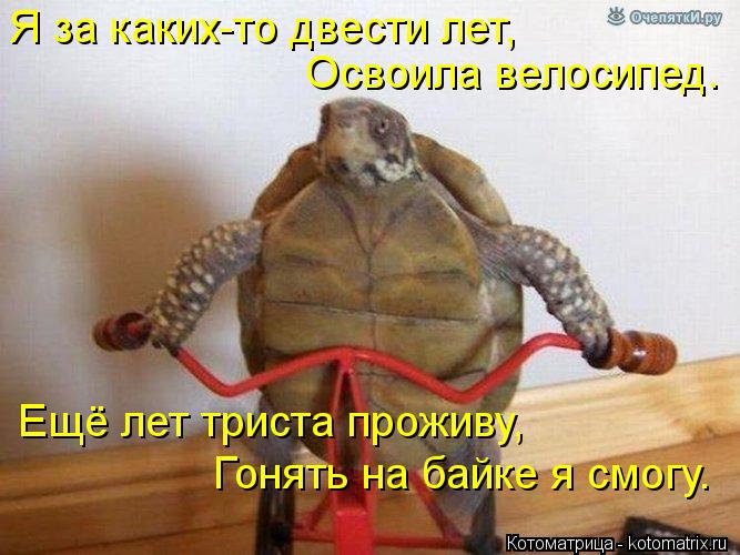 Я за каких-то двести лет, Освоила велосипед. Ещё лет триста проживу, Гонять на байке я смогу.... Котоматрица: Я за каких-то двести лет, Освоила велосипед. Ещё лет триста проживу, Гонять на байке я смогу.