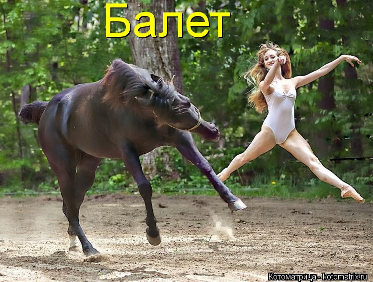Балет... Котоматрица: Балет