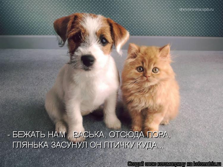 - БЕЖАТЬ НАМ , ВАСЬКА, ОТСЮДА ПОРА, ГЛЯНЬКА ЗАСУНУЛ ОН ПТИЧКУ КУДА...... Котоматрица: - БЕЖАТЬ НАМ , ВАСЬКА, ОТСЮДА ПОРА, ГЛЯНЬКА ЗАСУНУЛ ОН ПТИЧКУ КУДА...