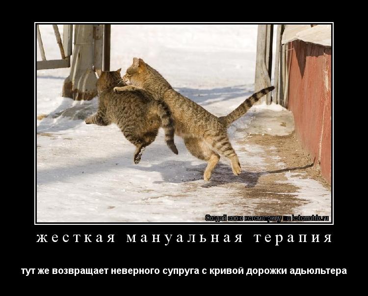 жесткая мануальная терапия тут же возвращает неверного супруга с кривой дорожки адьюльтера... Котоматрица: жесткая мануальная терапия тут же возвращает неверного супруга с кривой дорожки адьюльтера