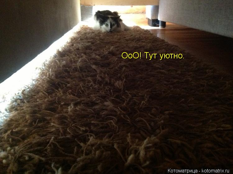 Котоматрица: ОоО! Тут уютно.