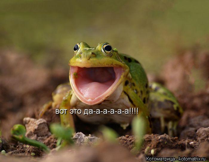 вот это да-а-а-а-а-а!!!!... Котоматрица: вот это да-а-а-а-а-а!!!!