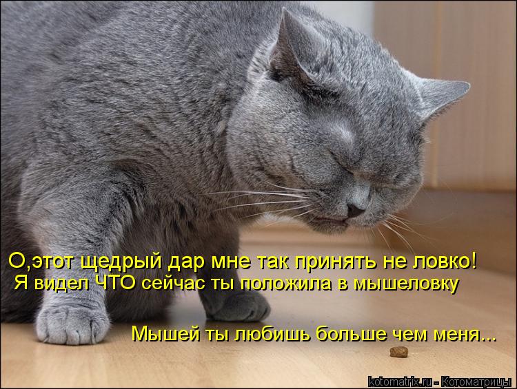 О,этот щедрый дар мне так принять не ловко! Я видел ЧТО сейчас ты положила в мышеловку Мышей ты любиш... Котоматрица: О,этот щедрый дар мне так принять не ловко! Я видел ЧТО сейчас ты положила в мышеловку Мышей ты любишь больше чем меня...