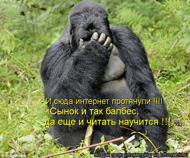 Котоматрица: - И сюда интернет протянули !!!! Сынок и так балбес, да еще и читать научится !!!......