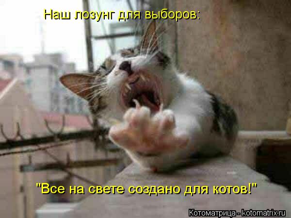 Наш лозунг для выборов: "Все на свете создано для котов!"... Котоматрица: Наш лозунг для выборов: "Все на свете создано для котов!"