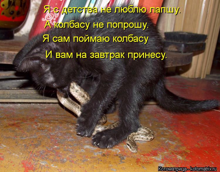 Я с детства не люблю лапшу. А колбасу не попрошу. Я сам поймаю колбасу И вам на завтрак принесу.... Котоматрица: Я с детства не люблю лапшу. А колбасу не попрошу. Я сам поймаю колбасу И вам на завтрак принесу.