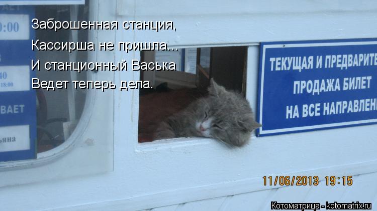 Заброшенная станция, Кассирша не пришла... И станционный Васька Ведет теперь дела.... Котоматрица: Заброшенная станция, Кассирша не пришла... И станционный Васька Ведет теперь дела.