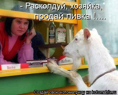 - Расколдуй, хозяйка, продай пивка !....... Котоматрица: - Расколдуй, хозяйка, продай пивка !....