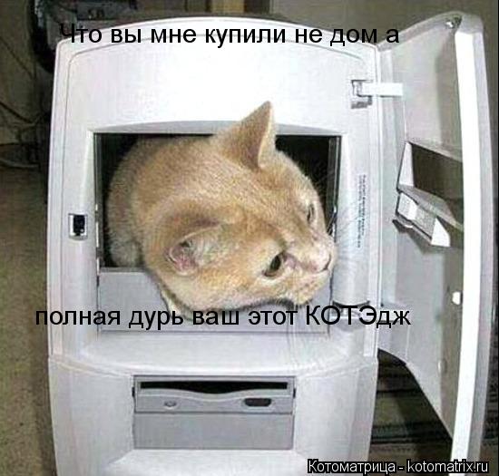 Что вы мне купили не дом а полная дурь ваш этот КОТЭдж... Котоматрица: Что вы мне купили не дом а полная дурь ваш этот КОТЭдж