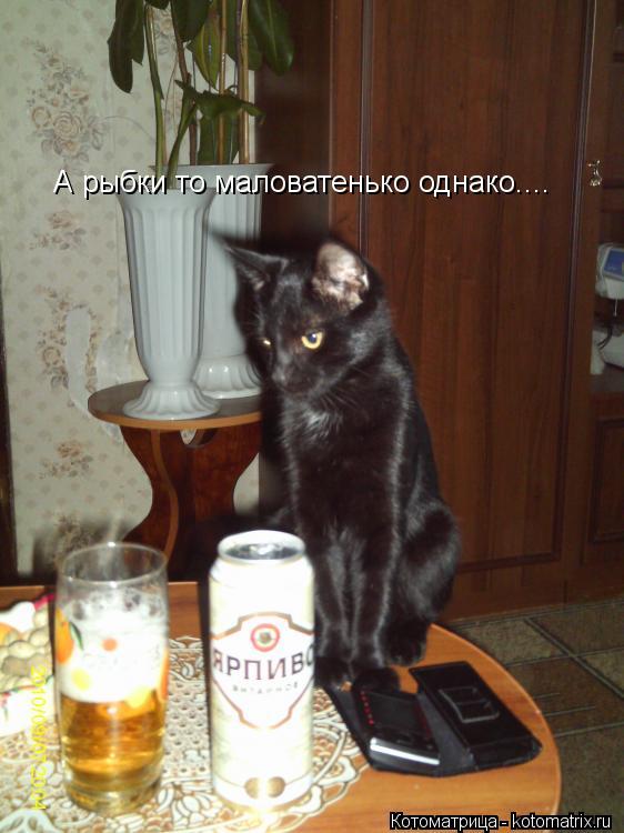 А рыбки то маловатенько однако....... Котоматрица: А рыбки то маловатенько однако....