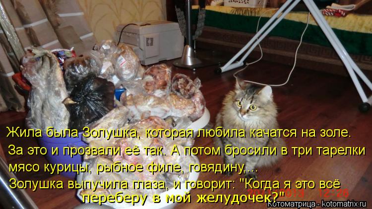 Жила была Золушка, которая любила качатся на золе. За это и прозвали её так. А потом бросили в три та... Котоматрица: Жила была Золушка, которая любила качатся на золе. За это и прозвали её так. А потом бросили в три тарелки мясо курицы, рыбное филе, говядину,