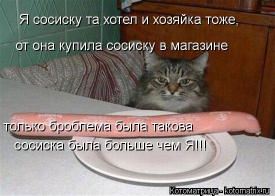 Я сосиску та хотел и хозяйка тоже, от она купила сосиску в магазине только броблема была такова сосис... Котоматрица: Я сосиску та хотел и хозяйка тоже, от она купила сосиску в магазине только броблема была такова сосиска была больше чем Я!!!