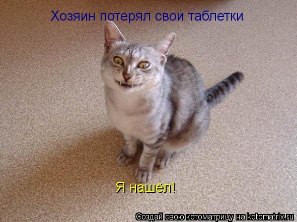 Хозяин потерял свои таблетки Я нашёл!... Котоматрица: Хозяин потерял свои таблетки Я нашёл!