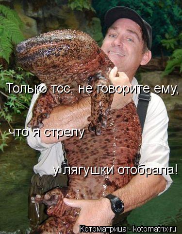 что я стрелу Только тсс, не говорите ему, у лягушки отобрала!... Котоматрица: что я стрелу Только тсс, не говорите ему, у лягушки отобрала!