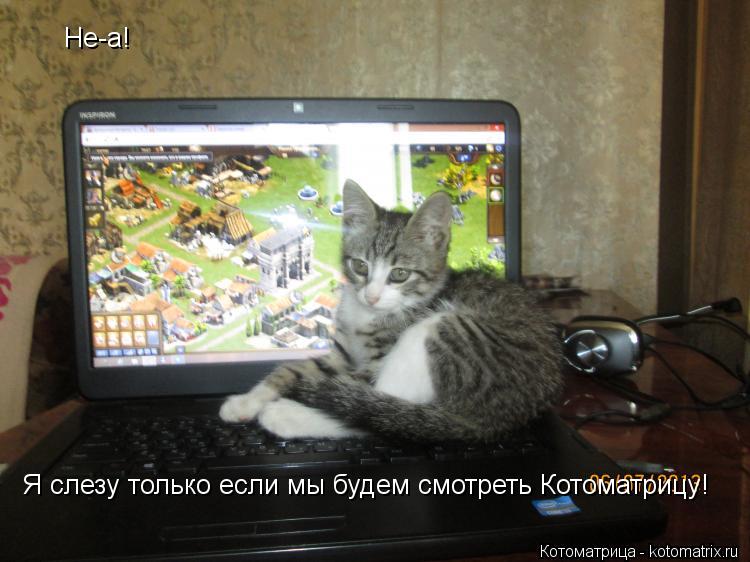 Не-а! Я слезу только если мы будем смотреть Котоматрицу!... Котоматрица: Не-а! Я слезу только если мы будем смотреть Котоматрицу!