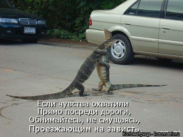 Проезжающим на зависть Обнимайтесь, не смущаясь, Прямо посреди дороги, Если чувства охватили... Котоматрица: Проезжающим на зависть Обнимайтесь, не смущаясь, Прямо посреди дороги, Если чувства охватили