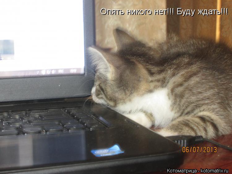 Опять никого нет!!! Буду ждать!!!... Котоматрица: Опять никого нет!!! Буду ждать!!!
