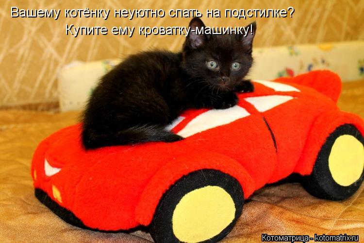Котоматрица: Вашему котёнку неуютно спать на подстилке? Купите ему кроватку-машинку!