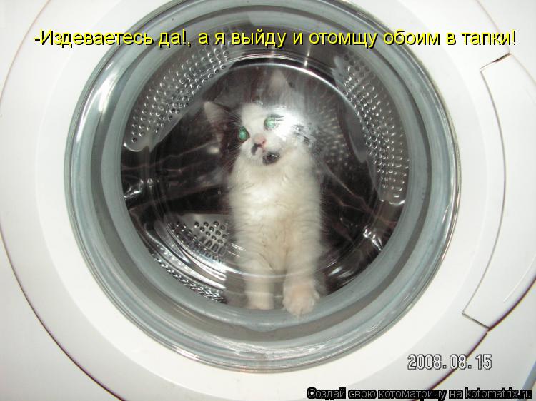 -Издеваетесь да!, а я выйду и отомщу обоим в тапки!... Котоматрица: -Издеваетесь да!, а я выйду и отомщу обоим в тапки!