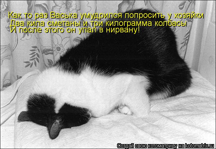 Как то раз Васька умудрился попросить у хозяйки Два кила сметаны и три килограмма колбасы И после э... Котоматрица: Как то раз Васька умудрился попросить у хозяйки Два кила сметаны и три килограмма колбасы И после этого он упал в нирвану!