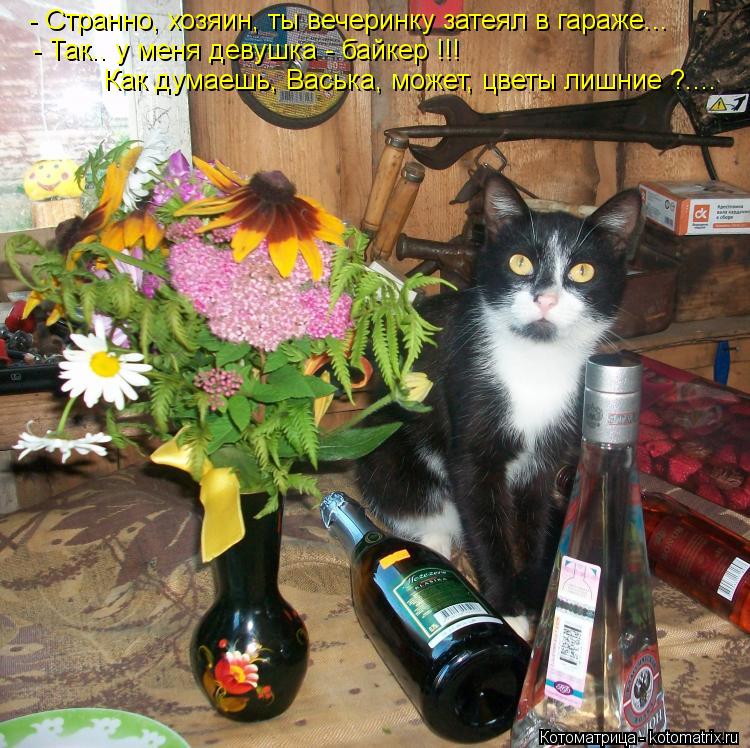 - Странно, хозяин, ты вечеринку затеял в гараже... - Так.. у меня девушка - байкер !!! Как думаешь, В... Котоматрица: - Странно, хозяин, ты вечеринку затеял в гараже... - Так.. у меня девушка - байкер !!! Как думаешь, Васька, может, цветы лишние ?....