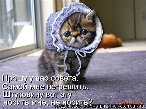 Самой мне не решить. Прошу у вас совета. Штуковину вот эту носить мне, не носить?... Котоматрица: Самой мне не решить. Прошу у вас совета. Штуковину вот эту носить мне, не носить?