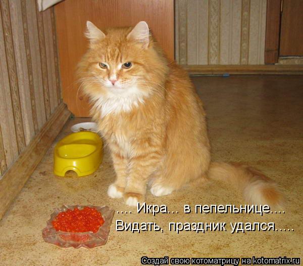 .... Икра... в пепельнице.... Видать, праздник удался........ Котоматрица: .... Икра... в пепельнице.... Видать, праздник удался.....