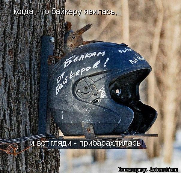 когда - то байкеру явилась, и вот,гляди - прибарахлилась!... Котоматрица: когда - то байкеру явилась, и вот,гляди - прибарахлилась!
