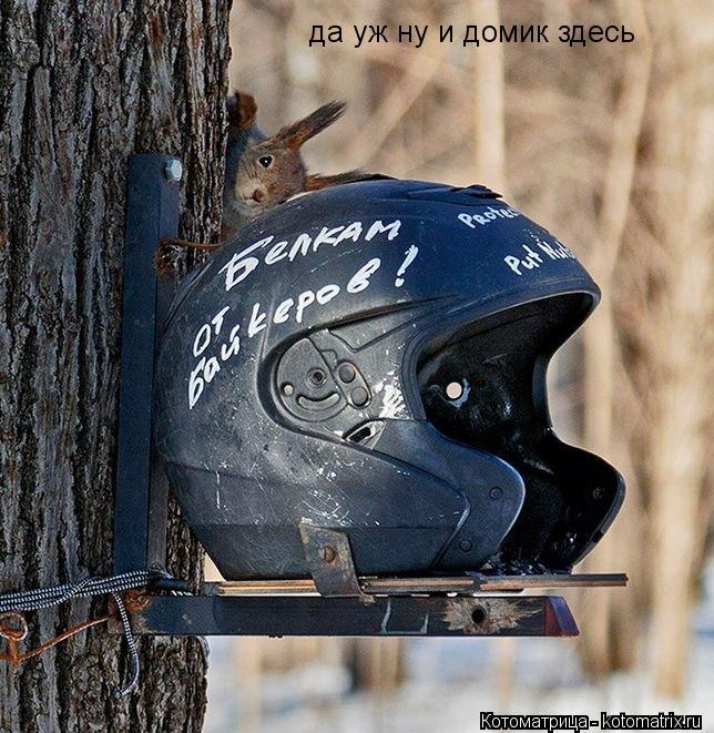 да уж ну и домик здесь... Котоматрица: да уж ну и домик здесь