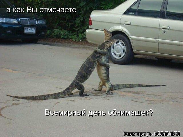 а как Вы отмечаете Всемирный день обнимашек?... Котоматрица: а как Вы отмечаете Всемирный день обнимашек?
